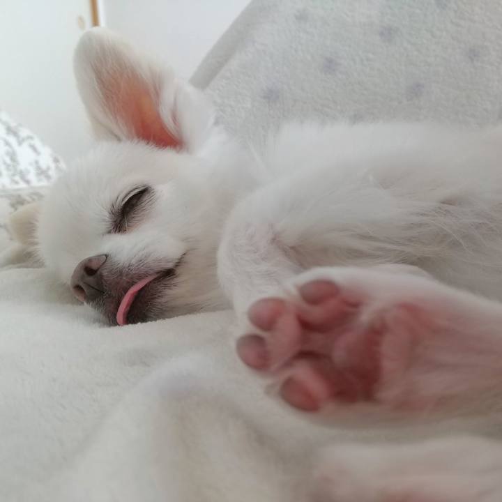 388776a2 93cb 4901 9f97 698e9e2baac9 1586689124578