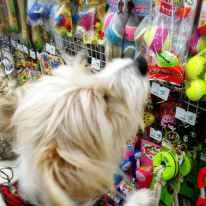 3887c468 1bdc 4dcf 9167 49c35a940a09 1519557215579