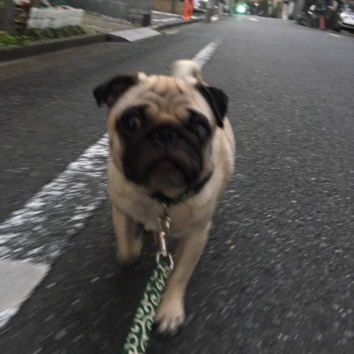 3887d1a3 46fa 4b24 8434 c36d24bf1ae3 1507766494706