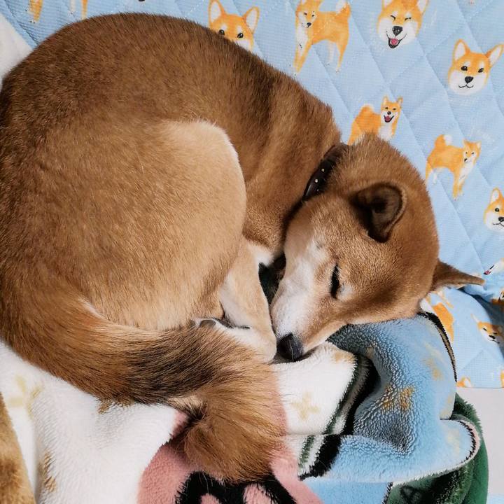 3887d88e 56f9 45b9 a035 03d6165899f0 1638449480804