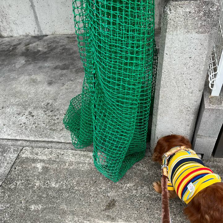 388810d8 1d21 4032 9f9a 1ee03836f98f 1701561371252