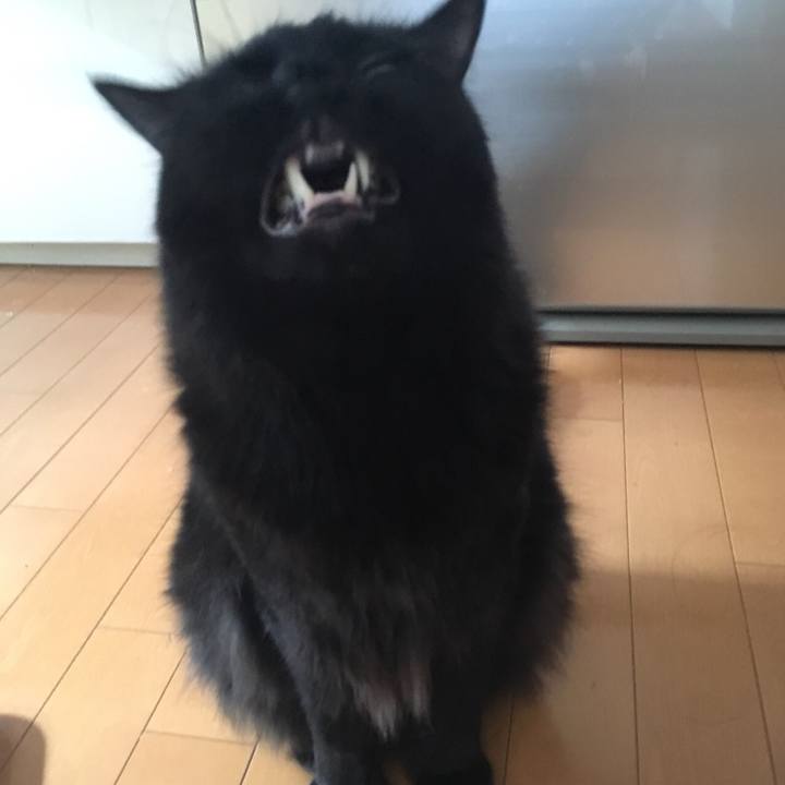 38881bfa bd4f 4fca 9490 ea01c0acf1df 1537419197860