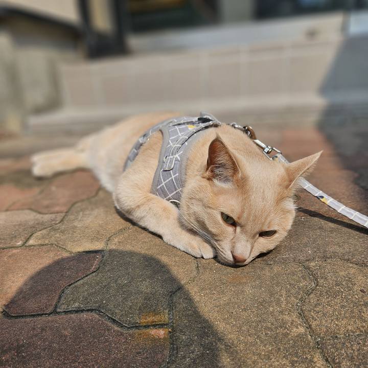 3888659c 4d1d 4ac9 9ad3 23c119c2afd1 1721001921420