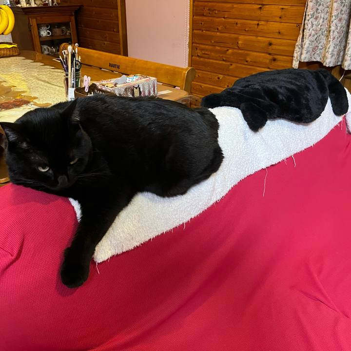 3888688c c356 484c 8c32 8d9342b84338 1732026126193