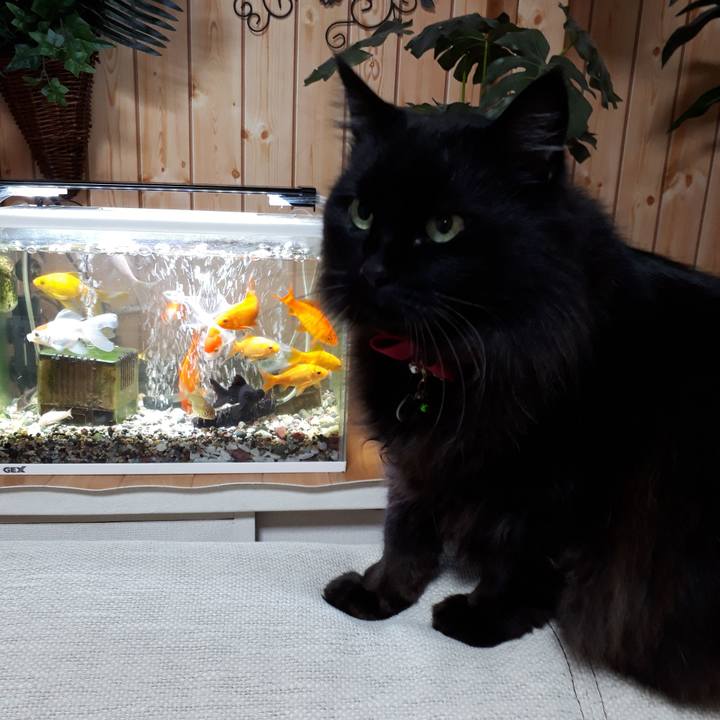 38888e93 021d 4cc2 a9e5 64d342a7bbf9 1519075829118