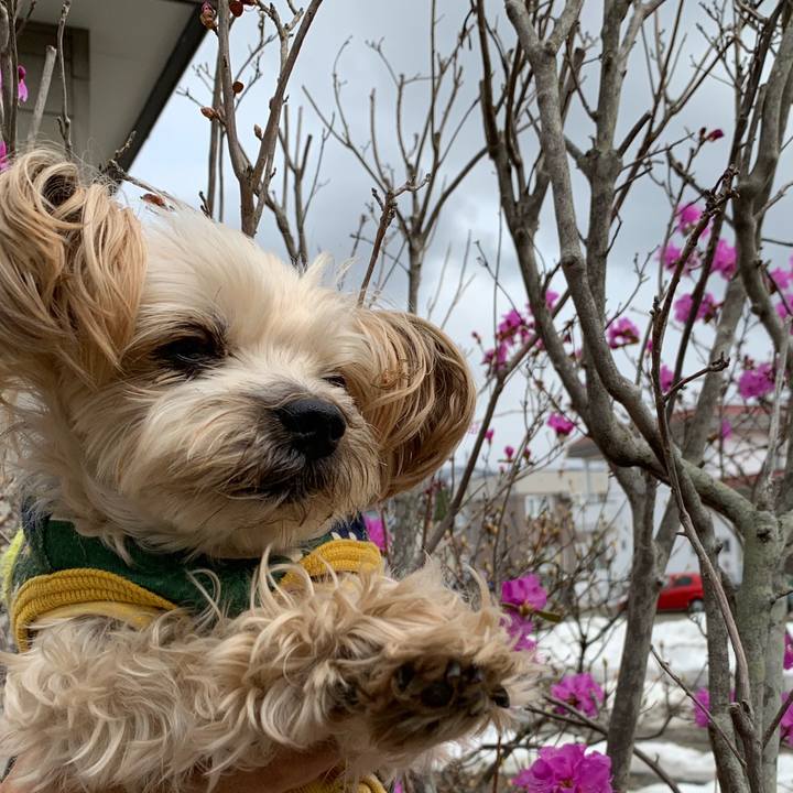 38889b0f aeca 4c87 8ec9 bbd7f60f3989 1556446943954