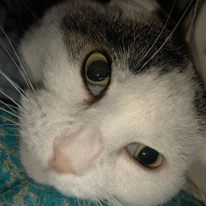 3888a7ed 3ab5 4357 aec7 b3c6dbd6f0a3 1575709858321