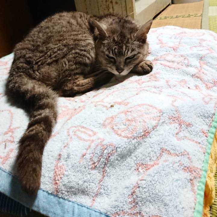 3888e2cd 68a9 429e a881 d508853488d8 1595882138022