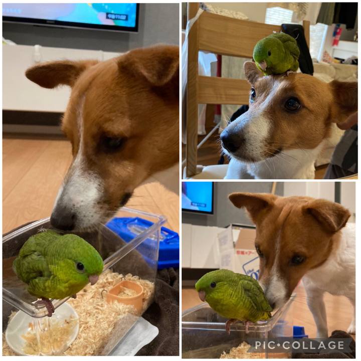 3888fa02 eb78 4899 ba8a 0ea82f66dafb 1651488400226