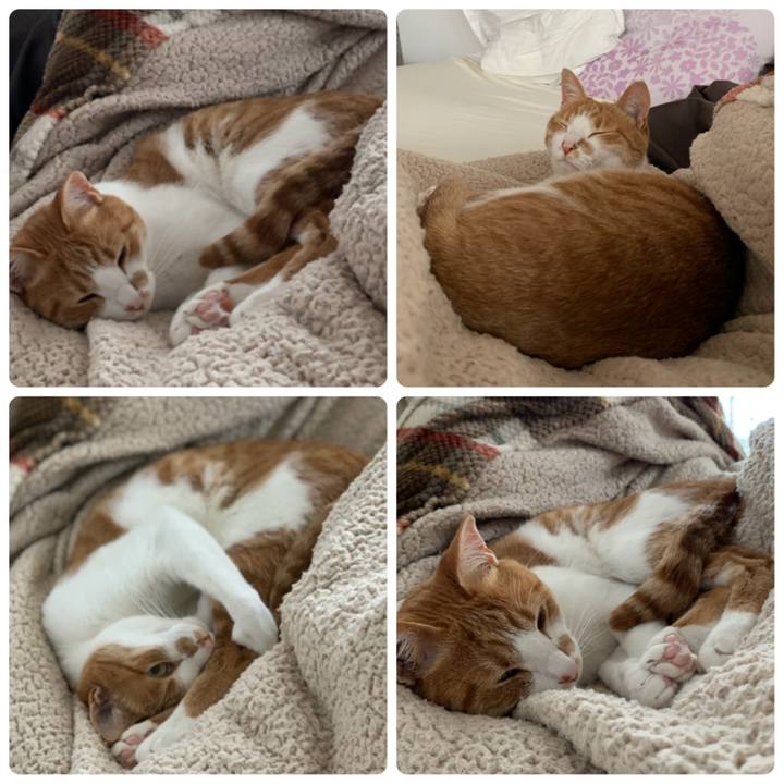 3888fe24 425d 4d73 b66c 83e999927e4d 1586733862876