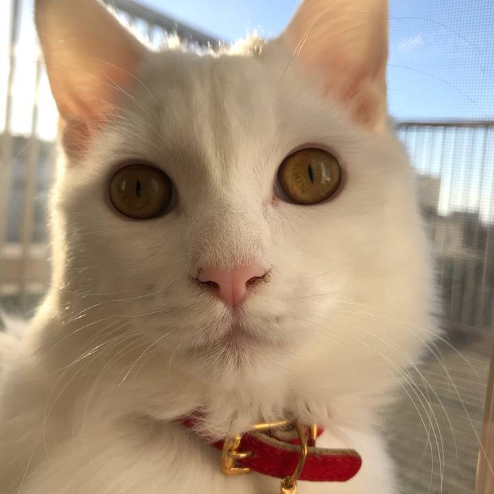 38892a97 d555 438d aef8 1e6fb0c0c837 1515036782561