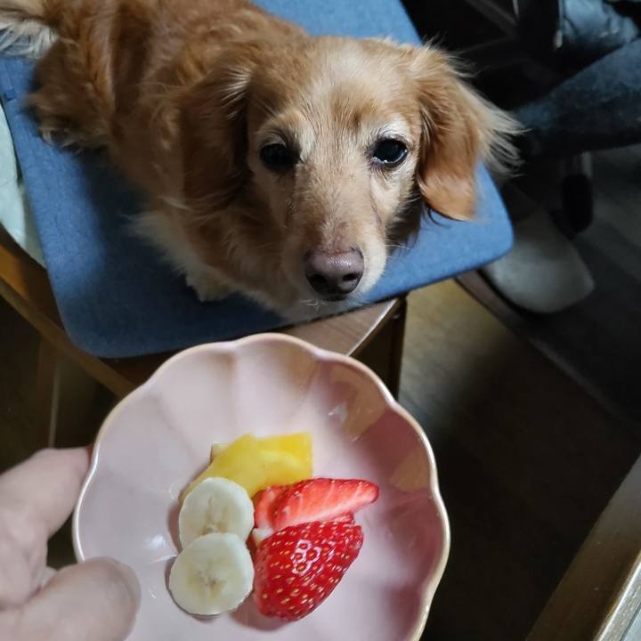 388953c4 a235 41f1 a119 d5018898d97c 1646904572143