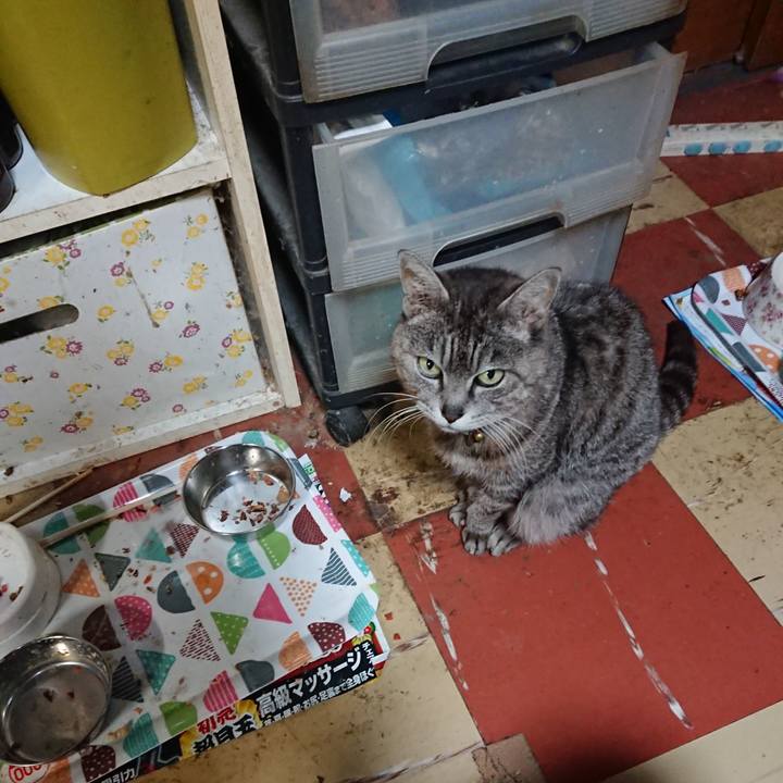 38899796 ec34 4455 bc23 166d68ba6fb3 1588241526014