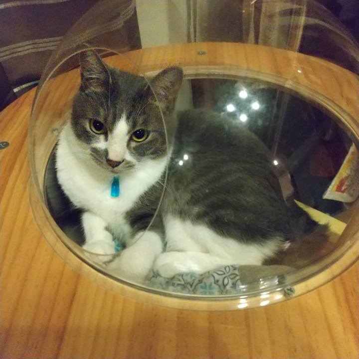 3889a90b 2975 4158 befb a05cf56a2d24 1623935324565