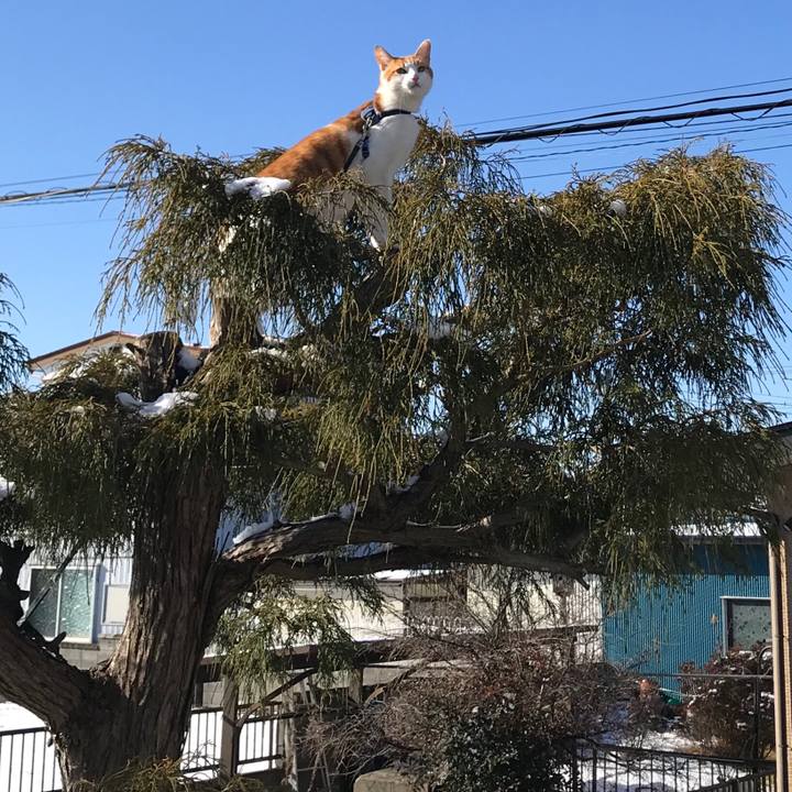 3889bfd2 1c20 4033 9aac 74ed5da78920 1515054932730