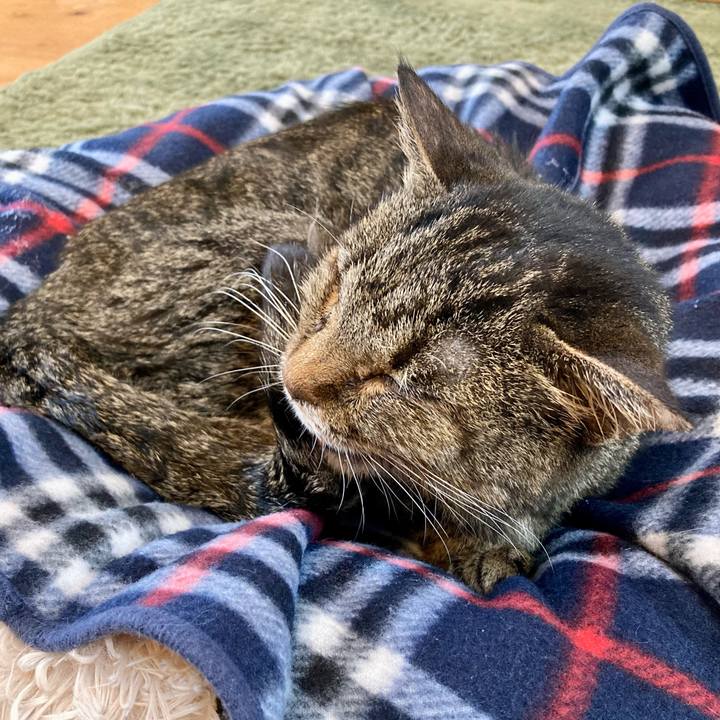 3889c9e7 dd45 4c4b be05 157163a2b4ee 1687567504632