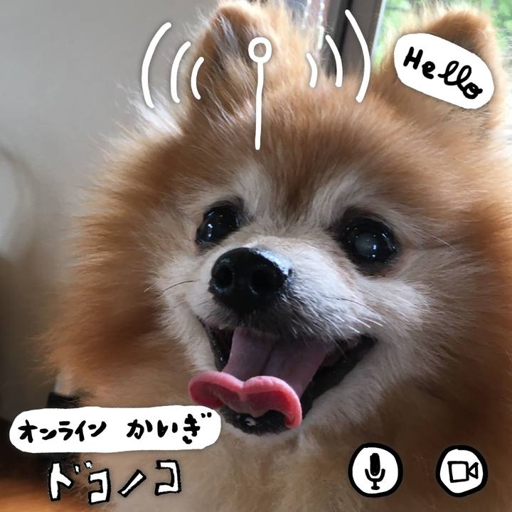 3889e02e 2266 4208 a6ed 0e9823afc753 1590701690844