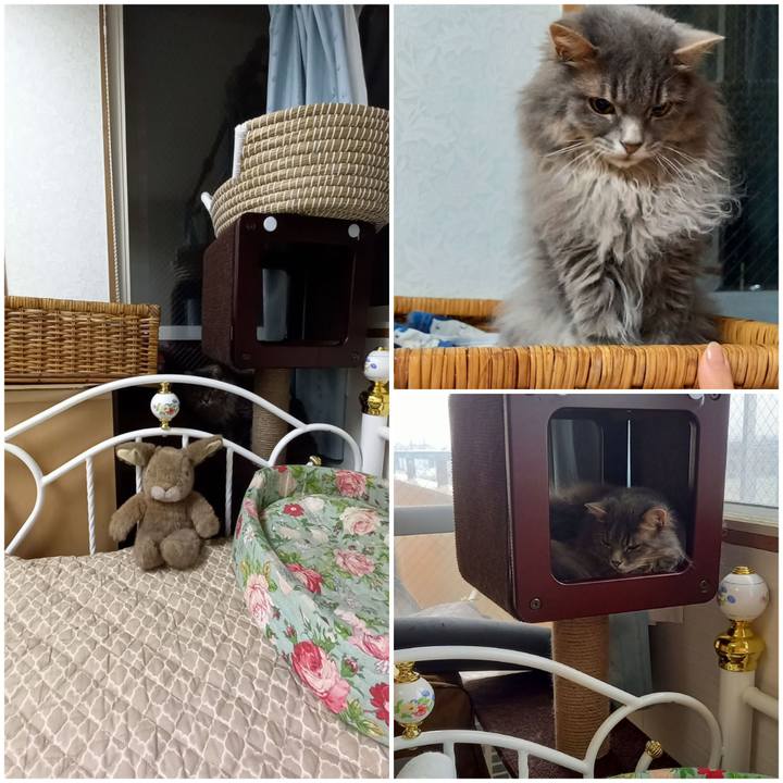 3889e41e cb0f 4498 8d5e 54410c47084c 1625660867388