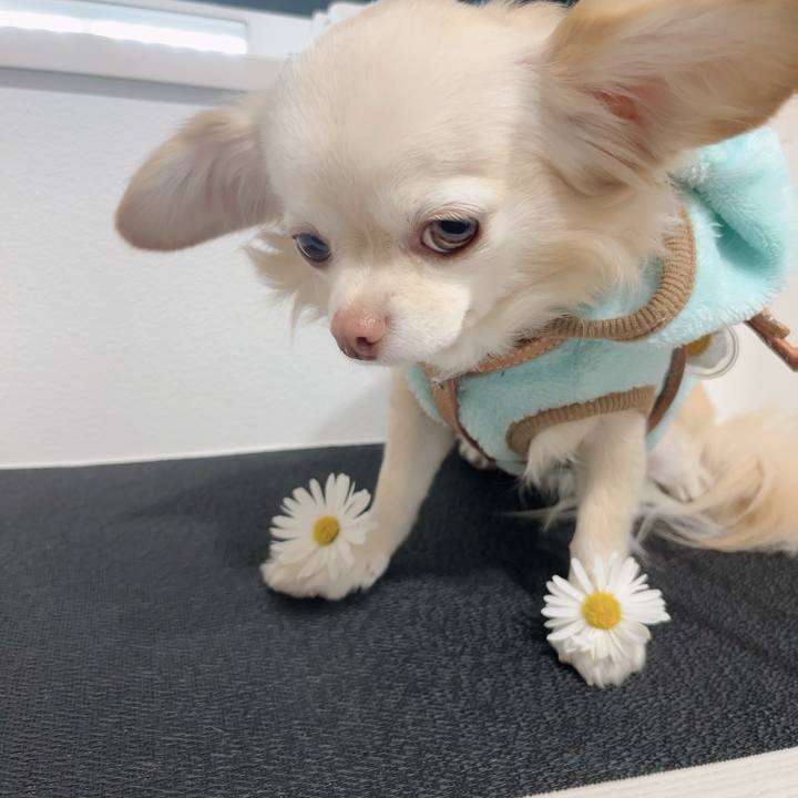 388a0159 be99 4029 852c 01b23f27acca 1701854367869