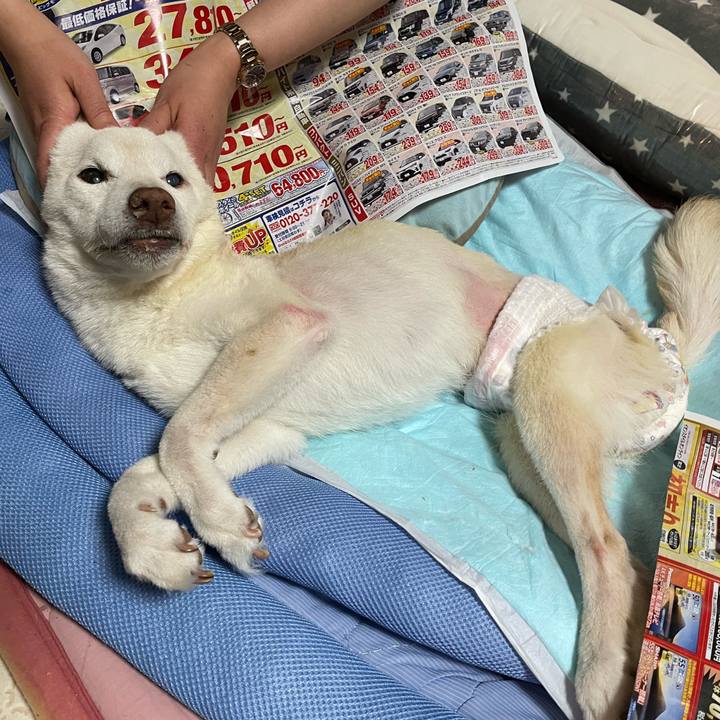 388a0539 eaea 429f 9269 ecba23a41dfa 1672481813333