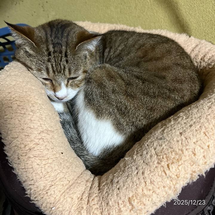 388a0749 ba9b 4115 a5c6 d16d7983adbd 1766440915828