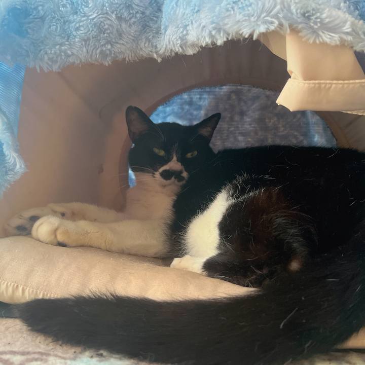 388a0749 cd0c 4e3d 99a9 c870f2e0ad9c 1685062143088