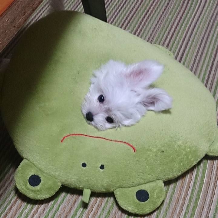 388a1344 ecbb 4c14 ac10 27e1a03cc767 1619039207048