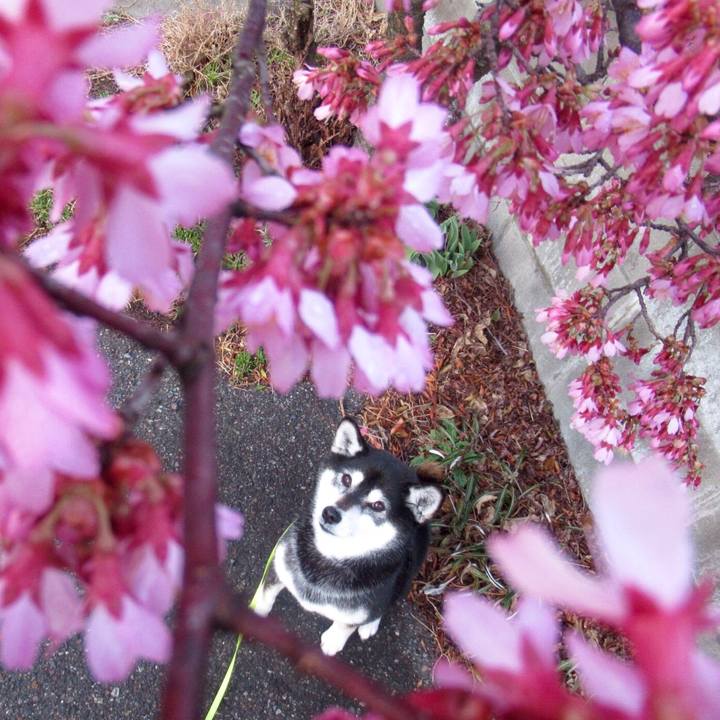 388a2115 ea1b 4b04 a79c 9fcea3a49154 1616451653742