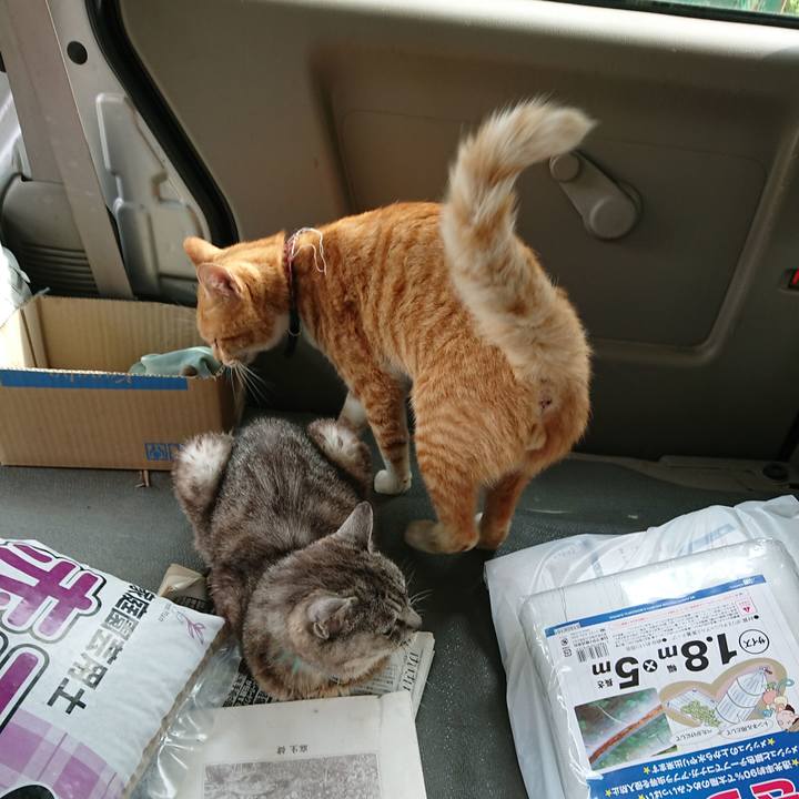 388a8ea2 eb9e 4a4b 8a86 e48e450fe888 1566885072455