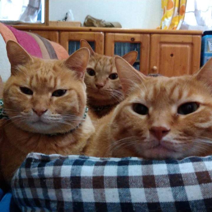 388ab757 8db1 47e9 bd2f 40f312b3f89a 1607304639228