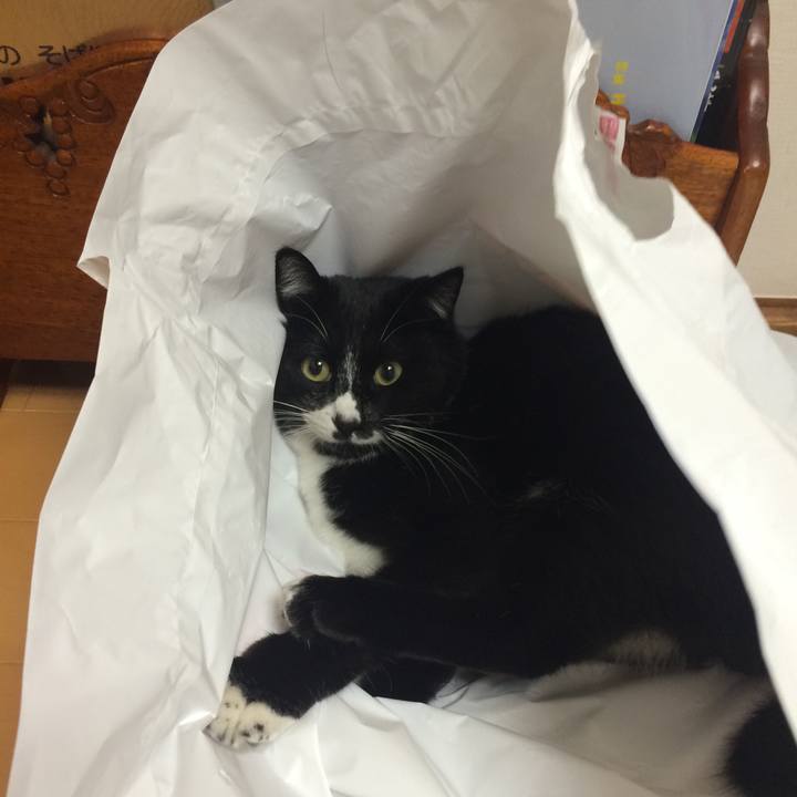 388abb99 d7fe 4cfc ae23 eae092760d6c 1515220201846