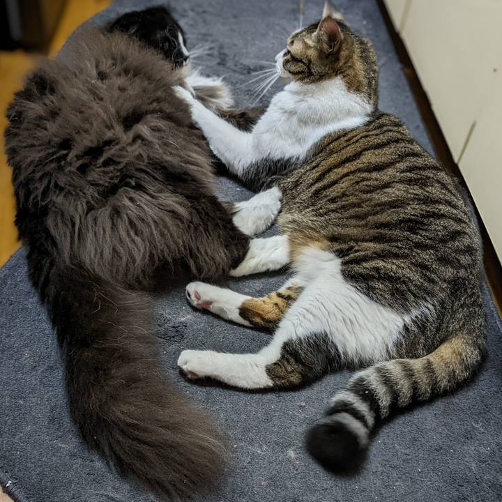 388ac11e fb5d 481c 8f95 e5ca0770926b 1668296911676