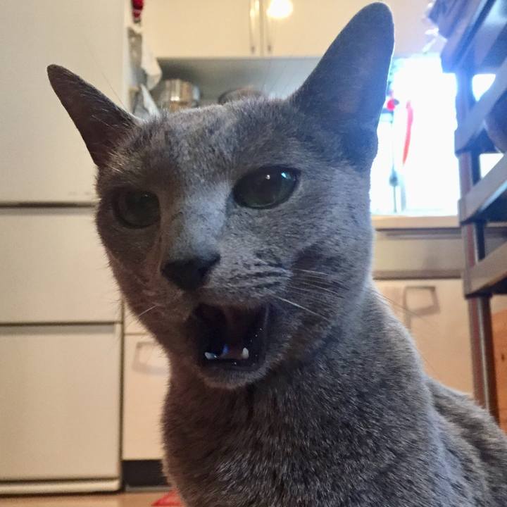 388b3f22 64e8 411f bb54 5cb004015d15 1546607716063