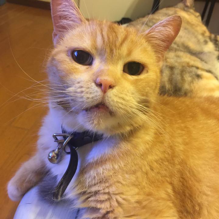 388b40da f84e 443e 89d9 1081899379f6 1564578302062