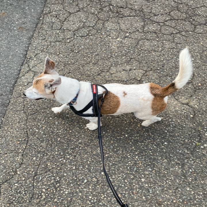 388b6721 37f2 4193 95a3 6f2c122dbafd 1622554740255