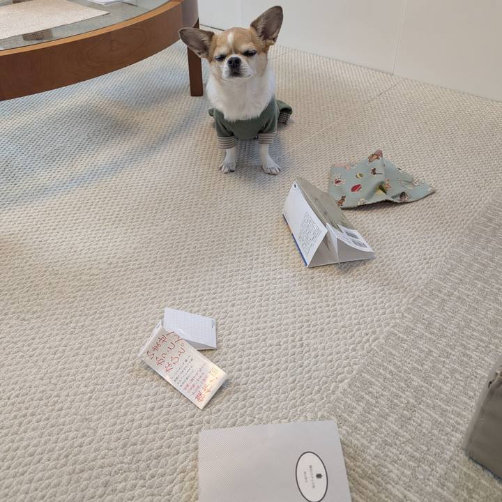 388b76fc 6117 462e a957 d65c8b406033 1767604897855