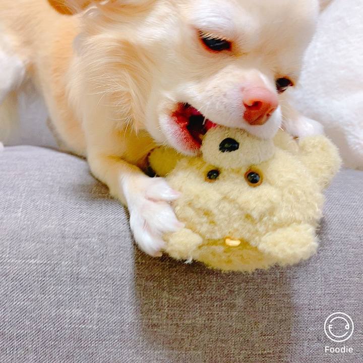 388b8474 aa27 4c2a 88c1 f8a29e902c02 1635160241709