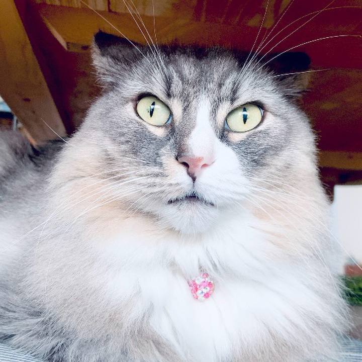 388bb443 5d7e 465f b1ab 7b0482114574 1759974173682