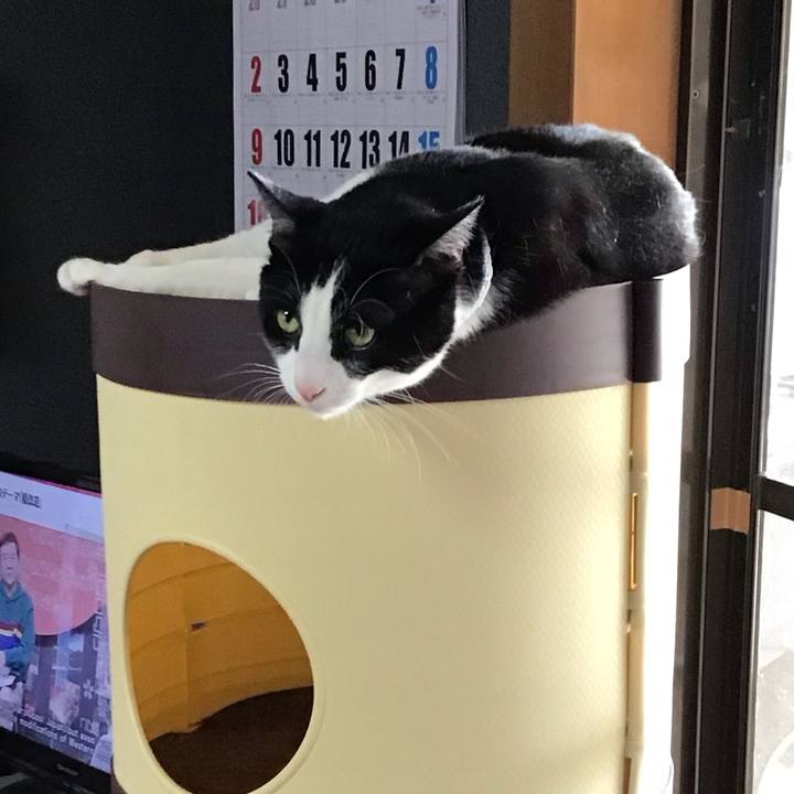 388be22d 49da 4513 b292 9ea3c65898c1 1682685227845