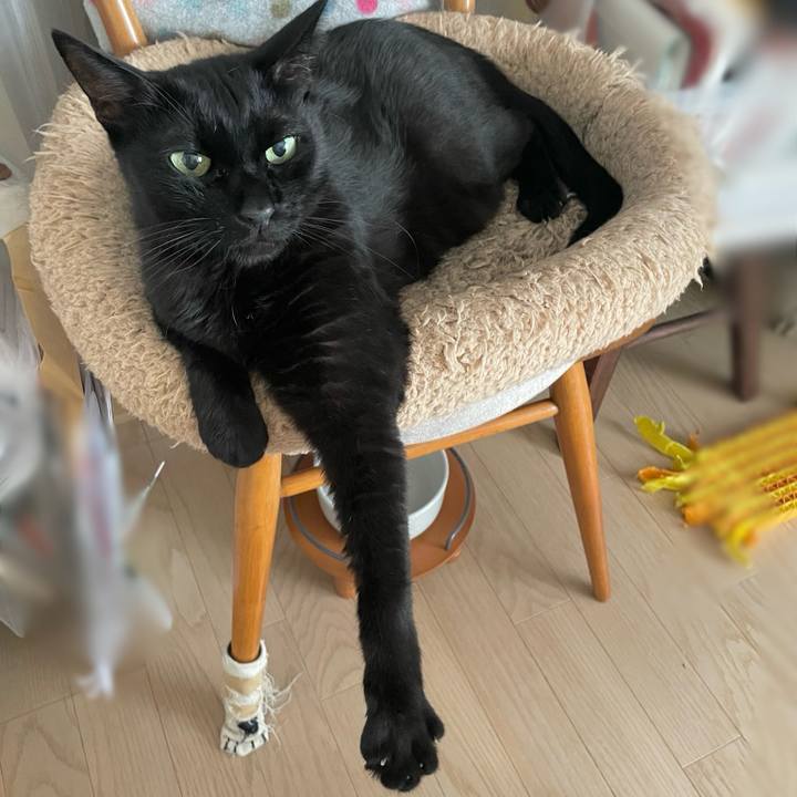 388bed3b cdc9 4513 9233 fe8b08a91fc8 1754990301959