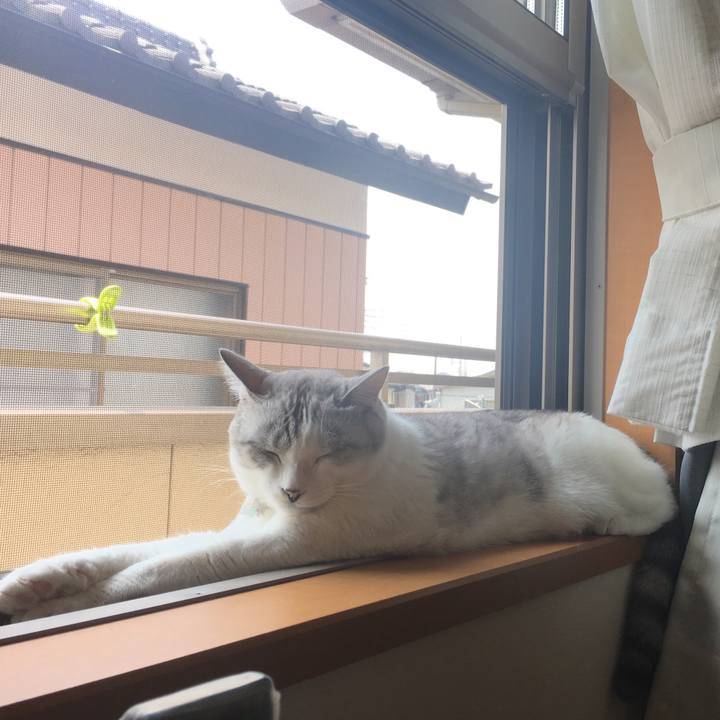 388c3717 f5b9 4ca4 ba25 88b019be1960 1527903059101