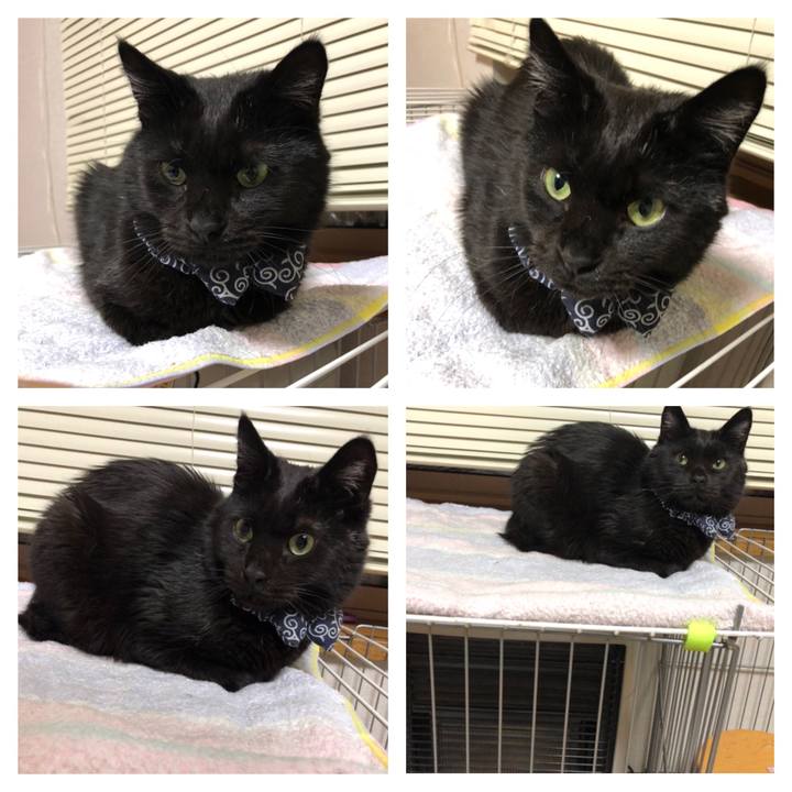 388c6cbf a757 4837 8e50 e85c1a27770f 1579345144069