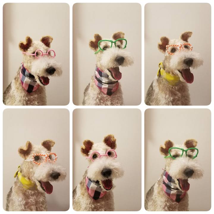 388c9351 c0b3 492e 9fb7 ad1477183ce7 1568244524071