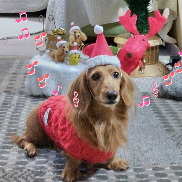 388ca538 250b 43f3 b24c def8b0cc8568 1639890476370