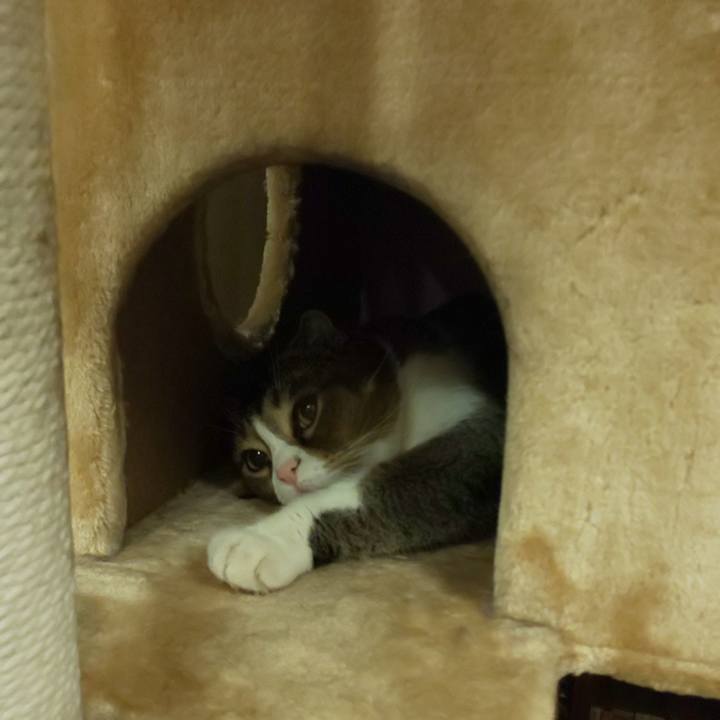 388d17a3 c454 4c4f ab9a ce0746269b95 1695385265168