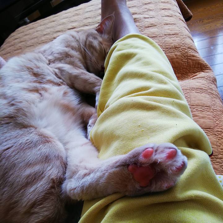 388d233e 60d6 40c0 b8d1 01224d22f8e9 1563065683593