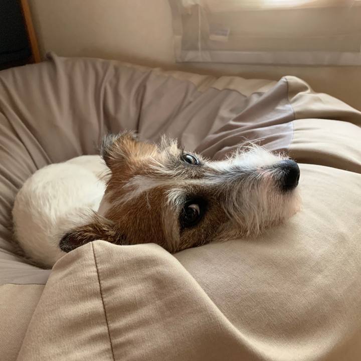 388d65b2 f2bb 4b8f 93c4 f3a2d54fd427 1595395245482