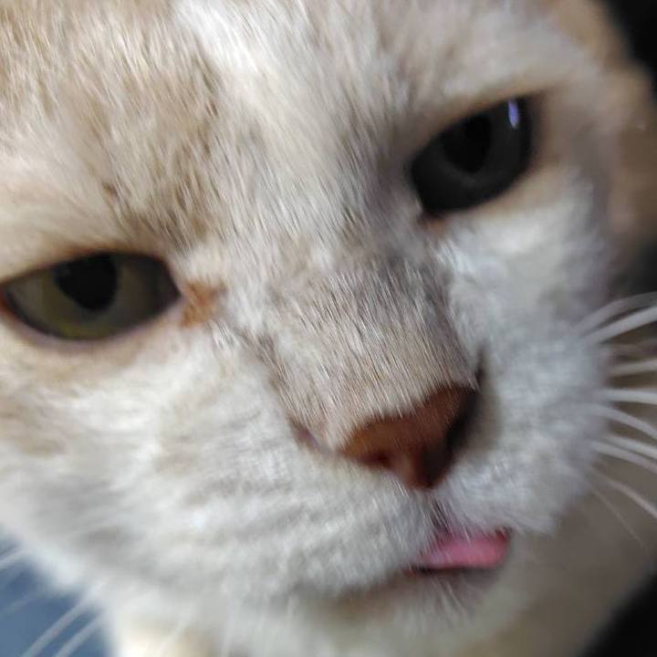 388da75b e5ad 41db 9b0a 9b30653c154f 1752229476866