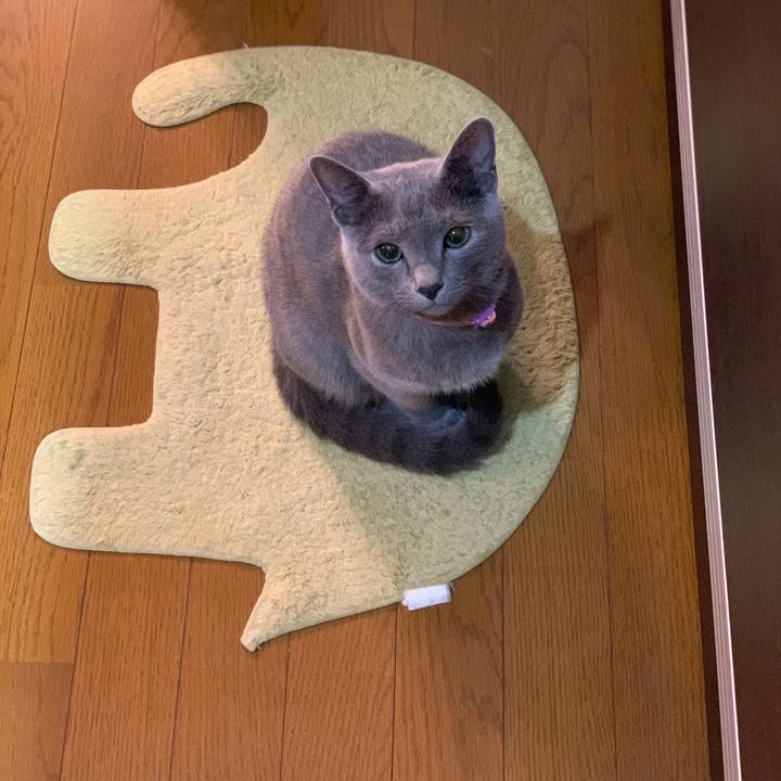 388dad68 8a9d 4248 a5df d86921c6c416 1574551427666