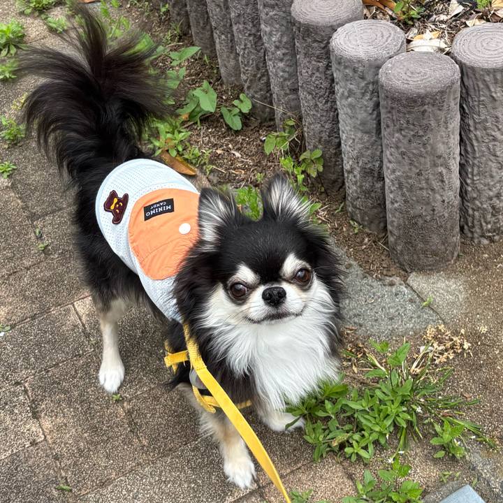 388ded46 14bb 4b5e 97c8 41a078e0bc61 1748104117360